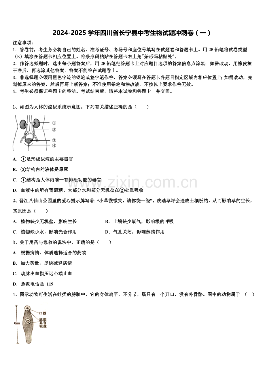 2024-2025学年四川省长宁县中考生物试题冲刺卷（一）含解析.doc_第1页