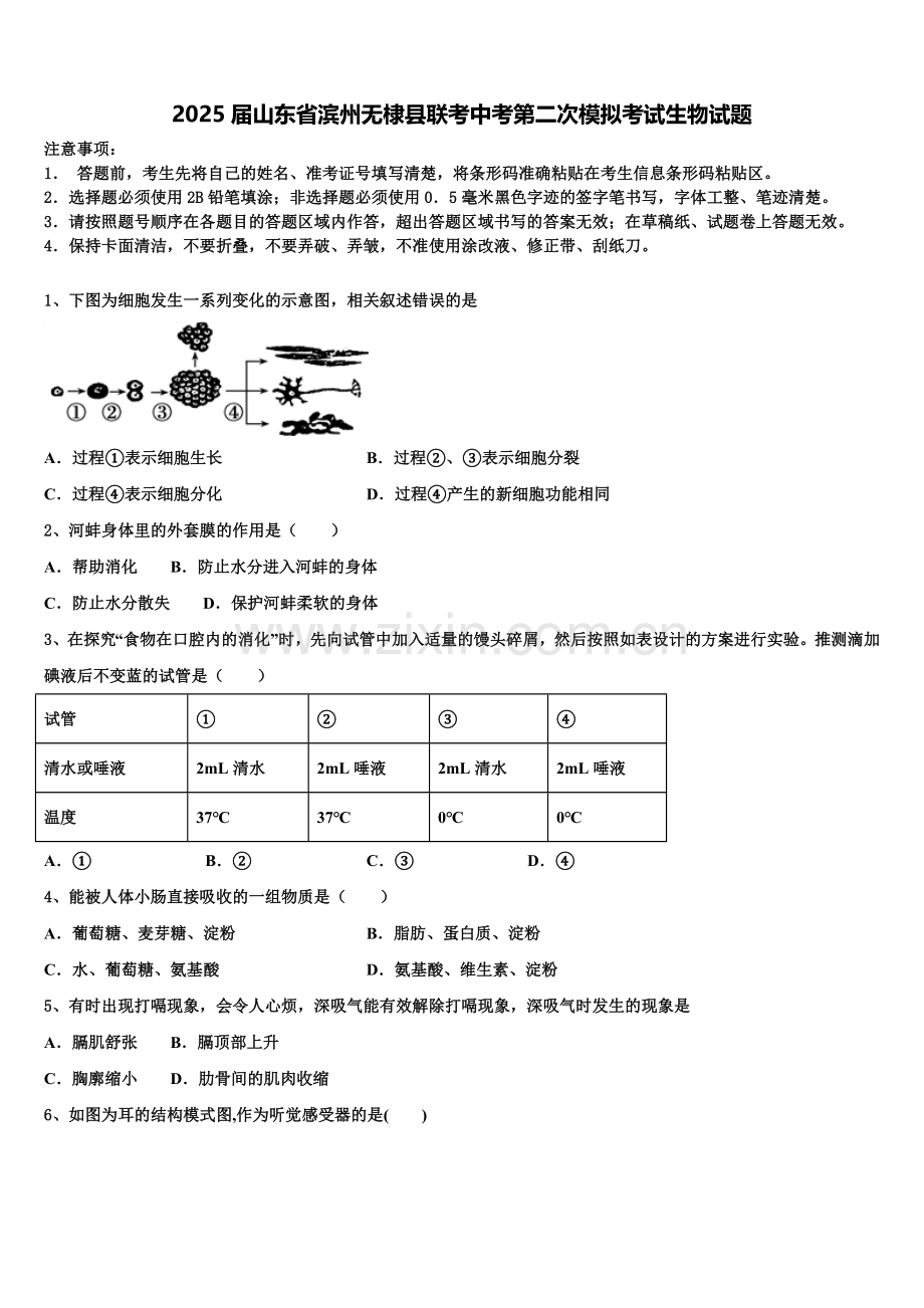2025届山东省滨州无棣县联考中考第二次模拟考试生物试题含解析.doc_第1页