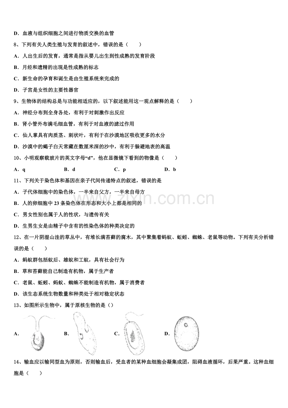 2024-2025学年安徽省池州市第十中学初三4月考生物试题理试题含解析.doc_第2页