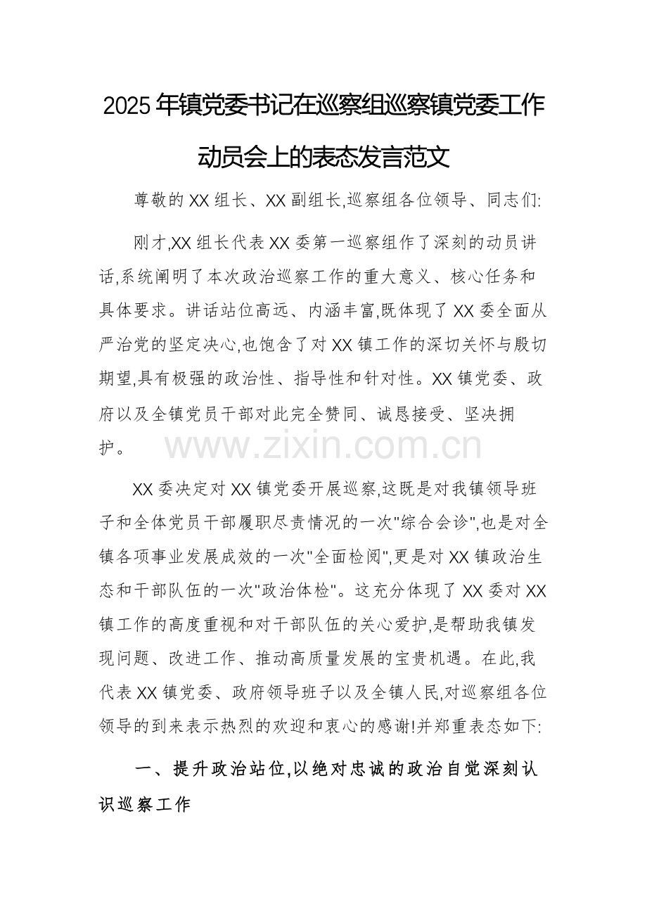 2025年党委书记在巡察组巡察党委工作动员会上的表态发言范文.docx_第1页