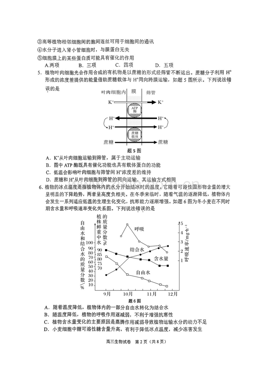 2025届重庆主城五区高三下学期10月期中考-生物试题（含答案）.docx_第2页