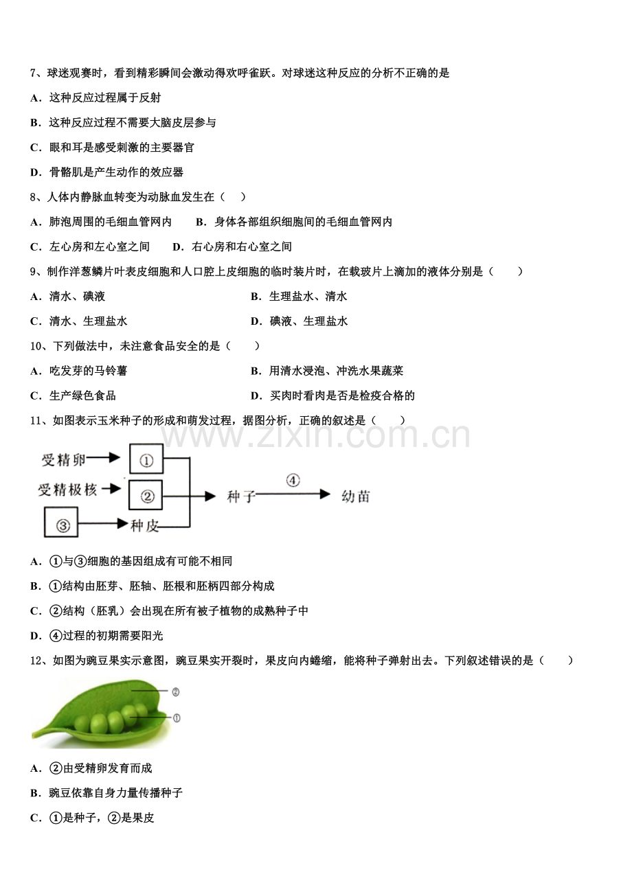 2025年四川省南充市广安市广安中学中考模拟最后十套：生物试题（十）考前提分仿真卷含解析.doc_第2页