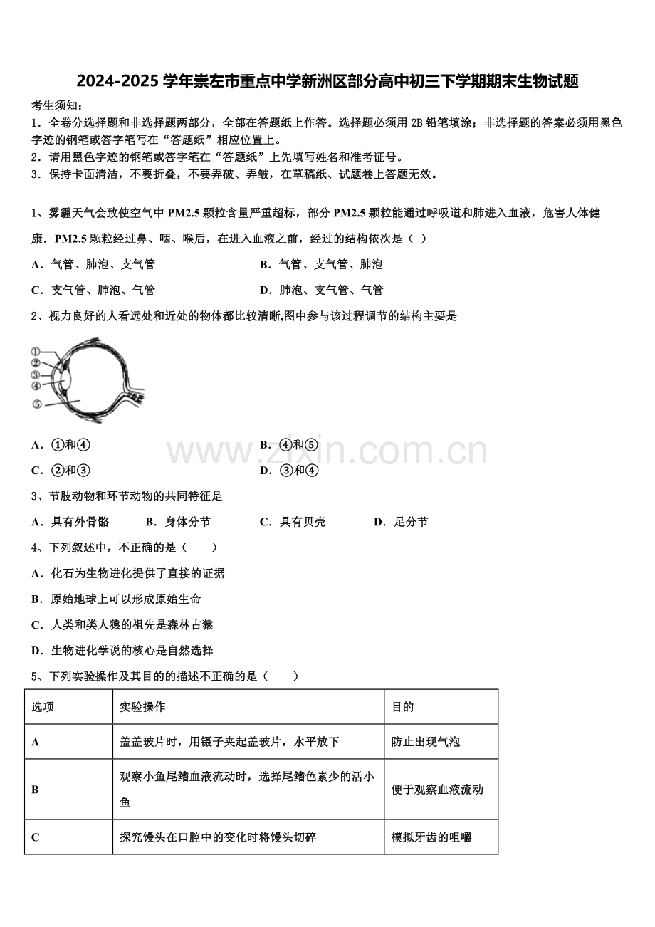2024-2025学年崇左市重点中学新洲区部分高中下学期期末生物试题含解析.doc_第1页