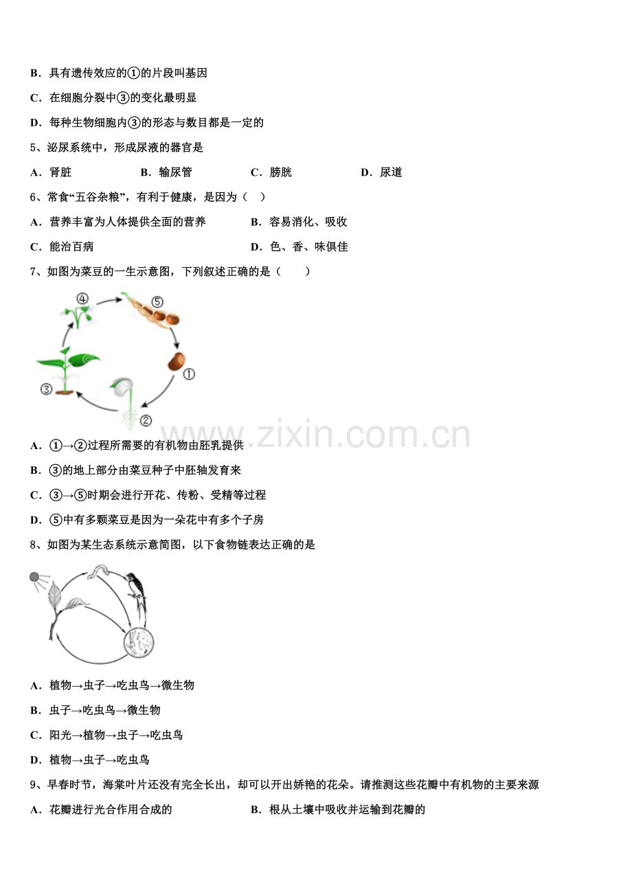甘肃省民勤县重点达标名校2025届初三二诊模拟考试生物试题含解析.doc_第2页