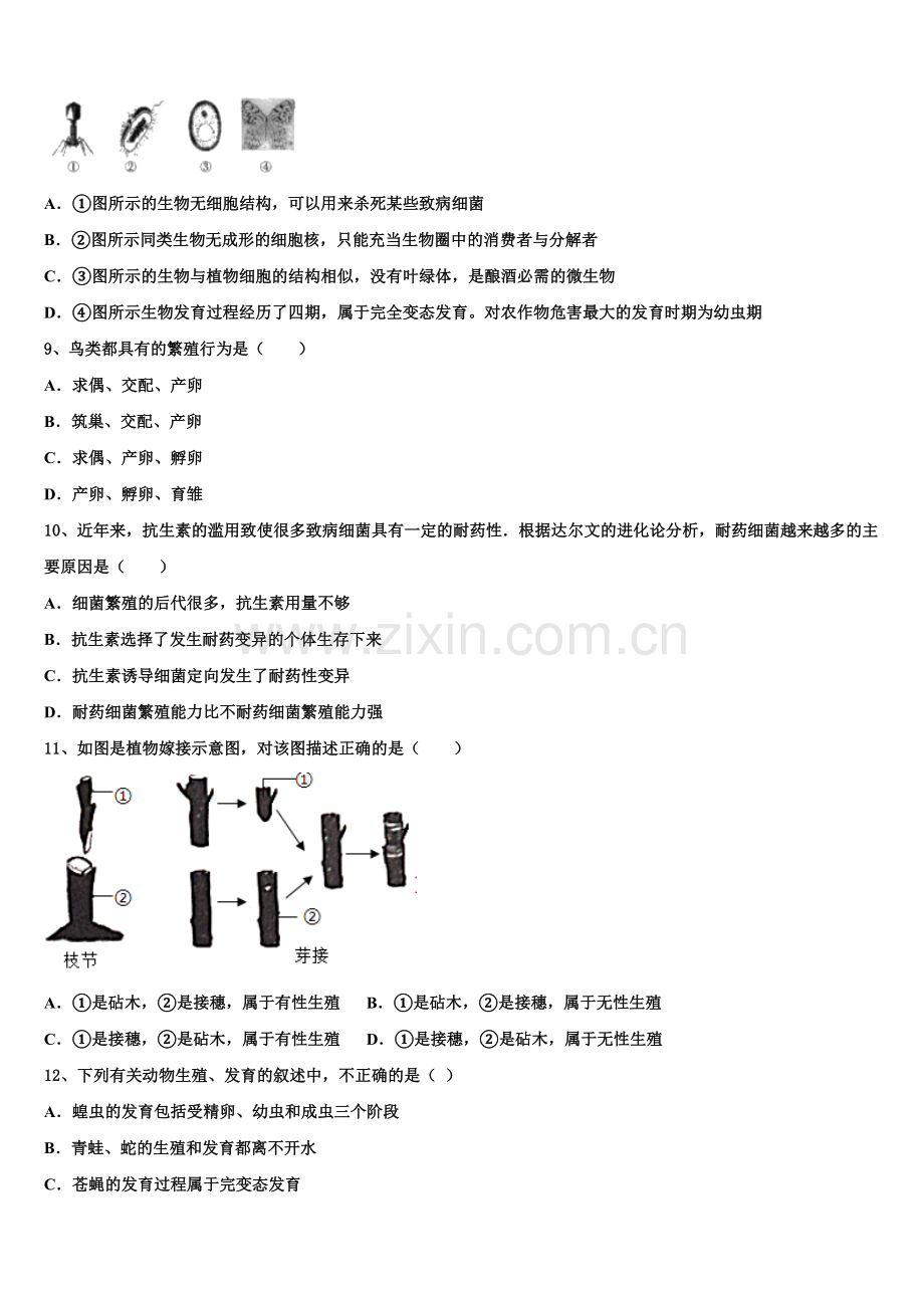 2025年湖北省襄阳市襄阳五中学实验中学初三中考生物试题系列模拟卷（10）含解析.doc_第2页