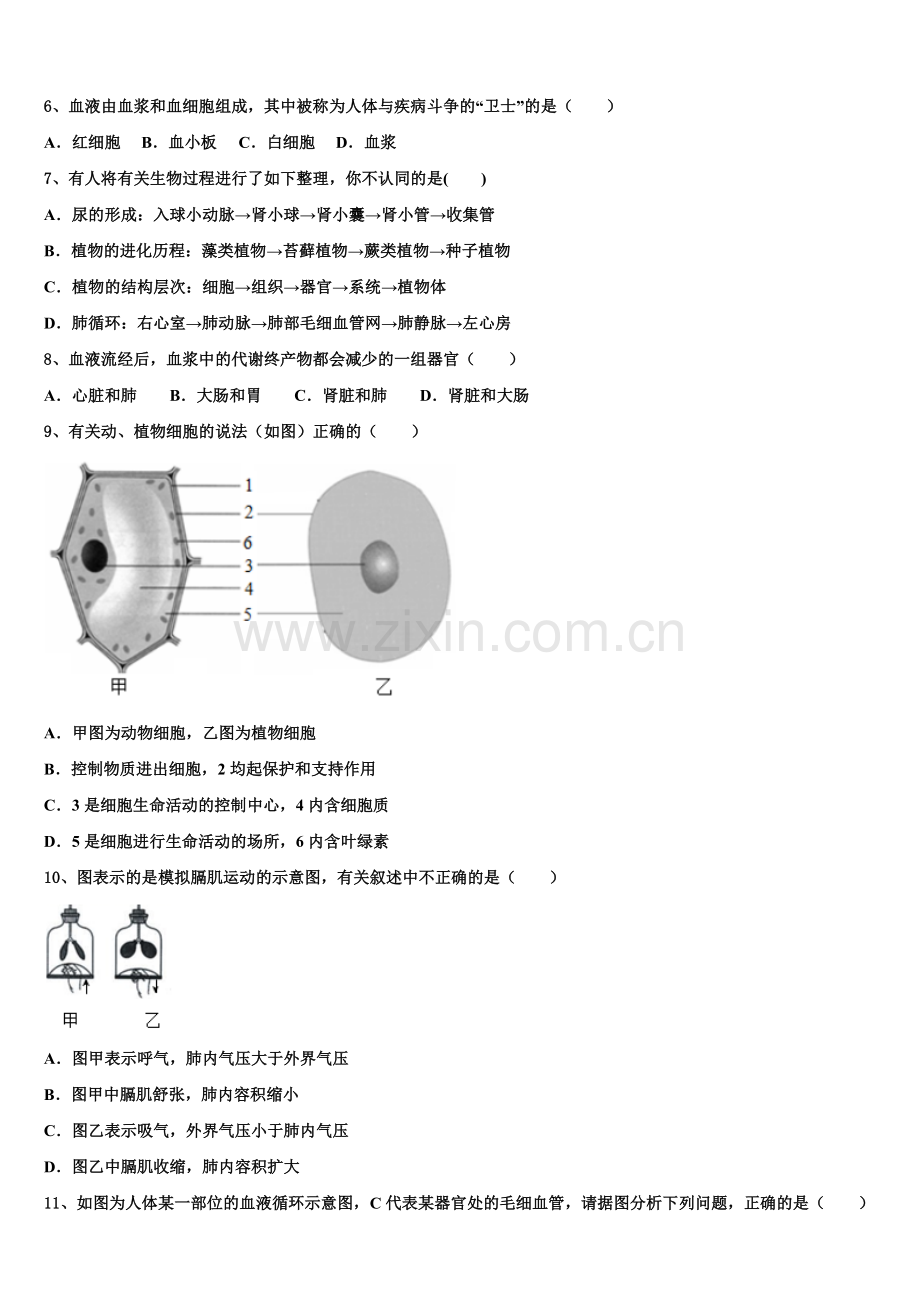 山东省济南市济阳县重点达标名校2025年初三第一次中考模拟统一考试生物试题含解析.doc_第2页