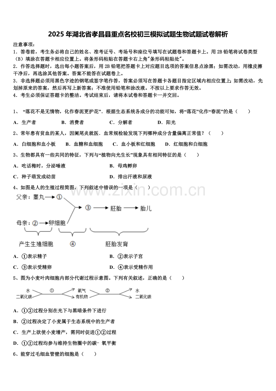 2025年湖北省孝昌县重点名校初三模拟试题生物试题试卷解析含解析.doc_第1页
