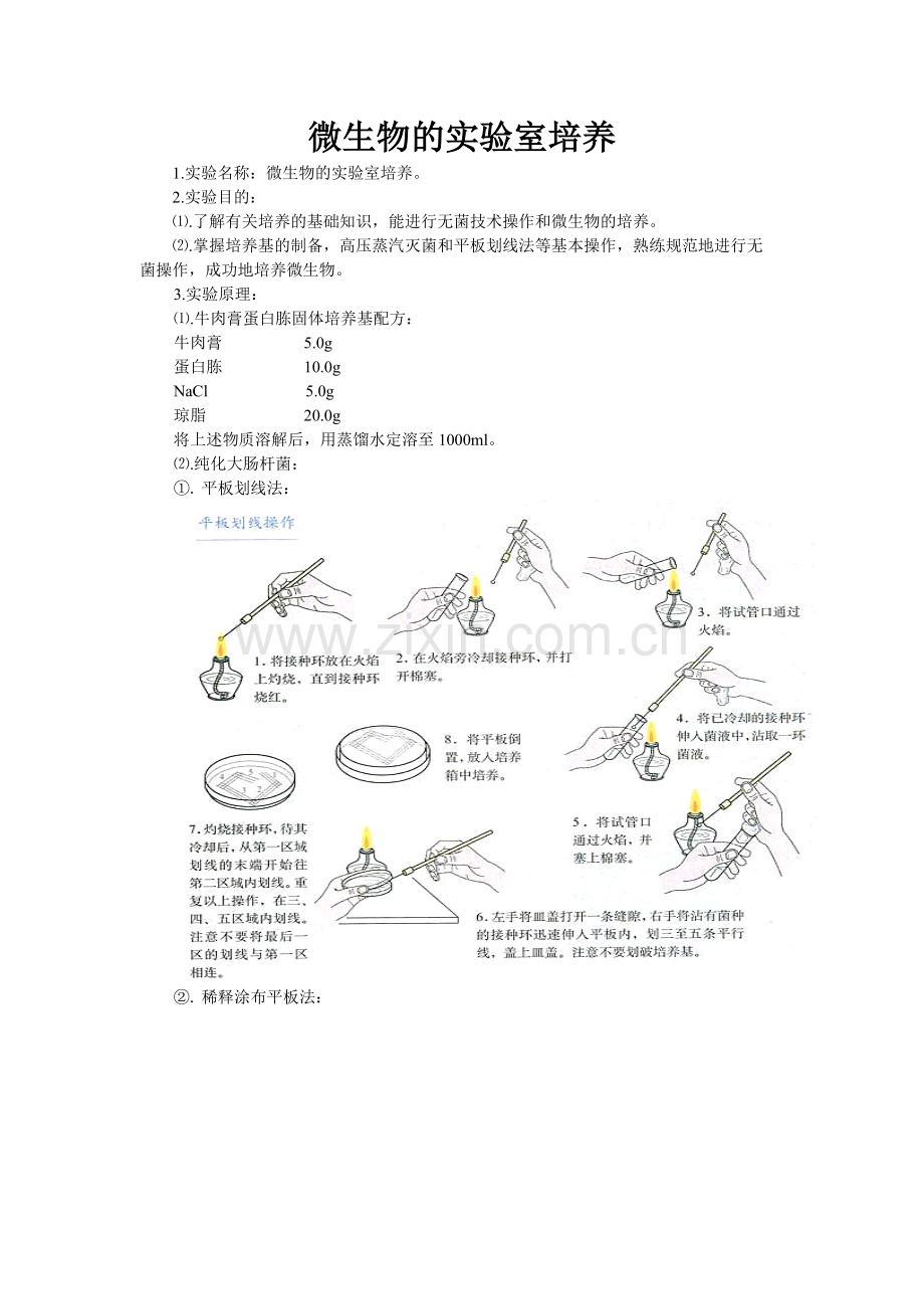 微生物的实验室培养.doc_第1页