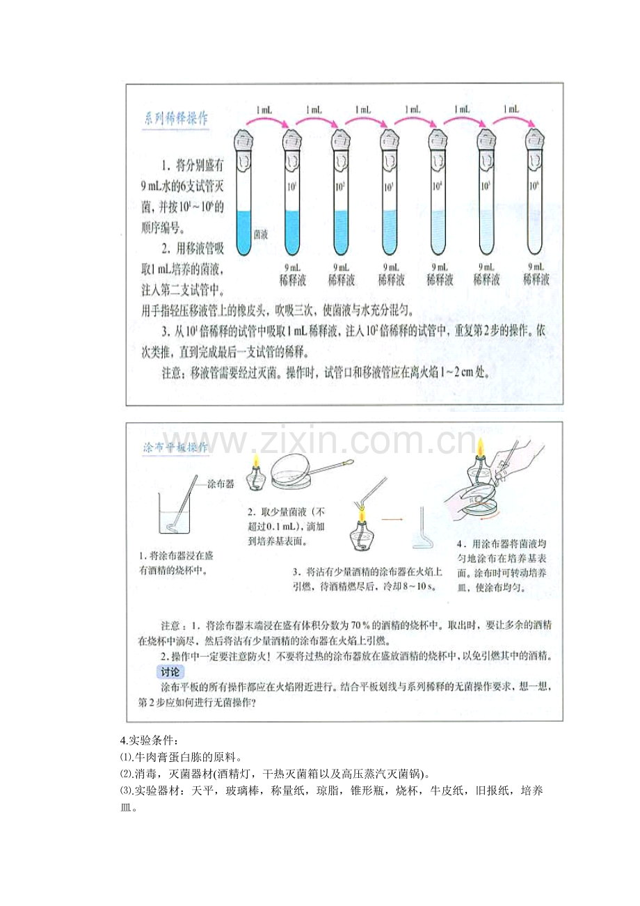 微生物的实验室培养.doc_第2页