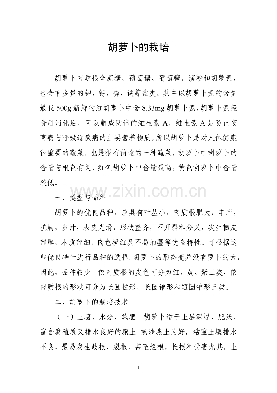 胡萝卜的栽培.doc_第1页