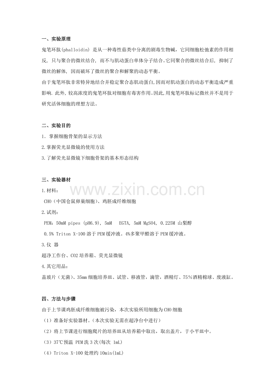 细胞骨架组分的荧光染色观察.docx_第2页