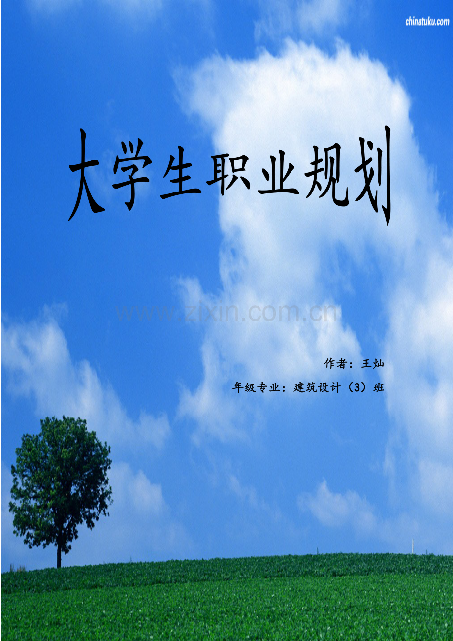 大学生职业规划(原稿).doc_第1页