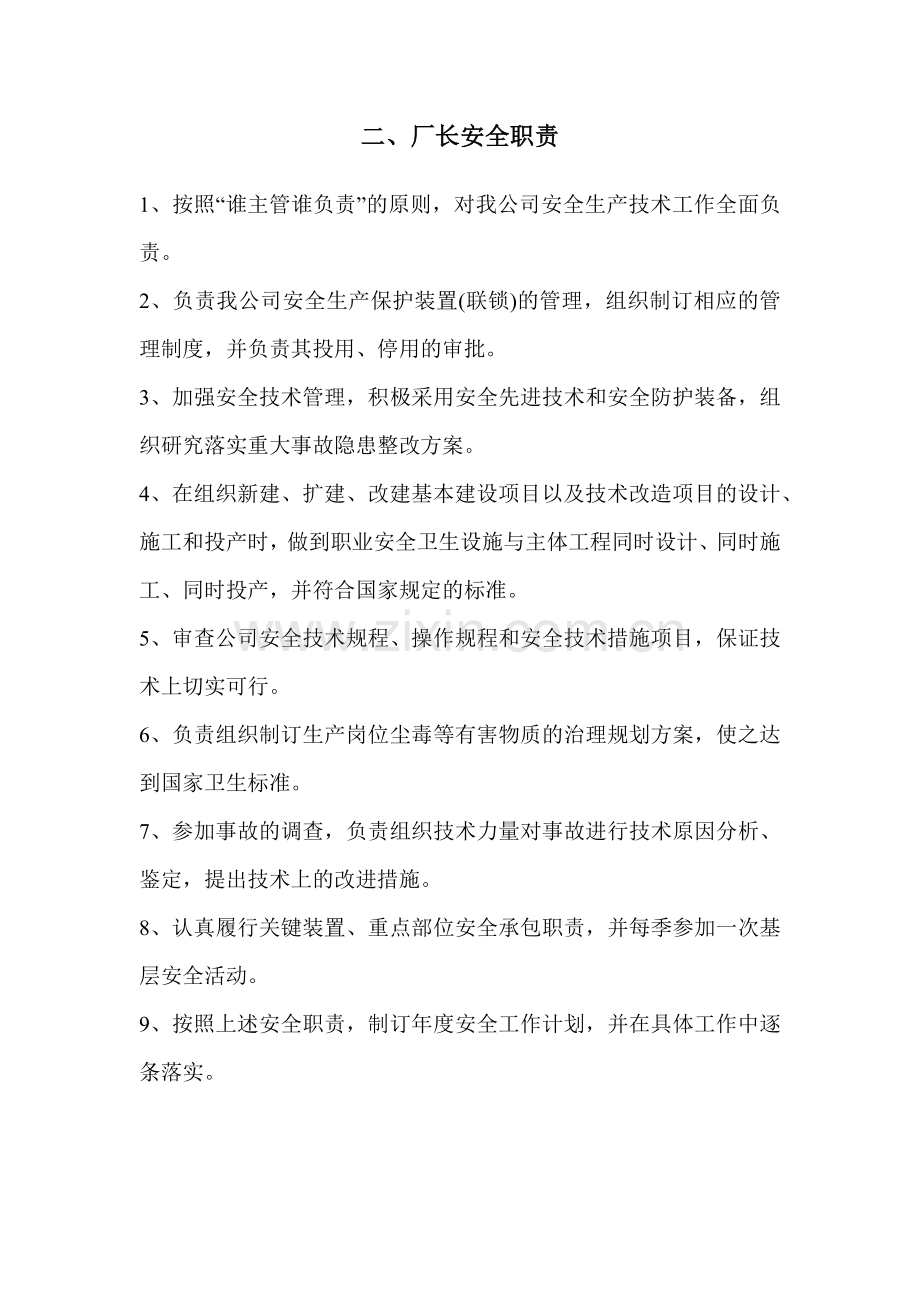 公司领导安全职责.docx_第2页