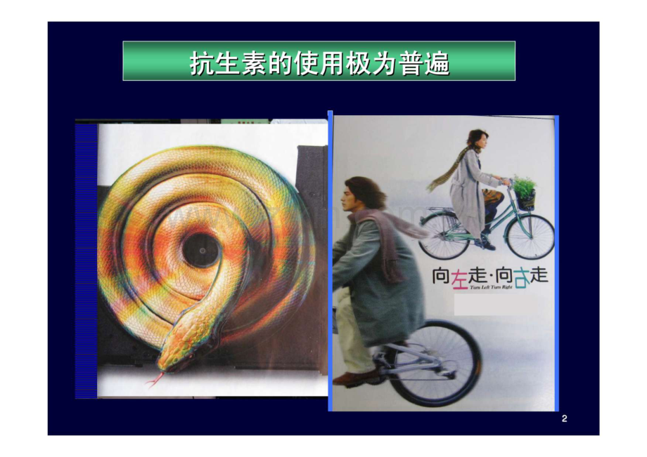 抗生素的合理应用需注意的问题抗生素的合理应用需注意的问题.pdf_第1页