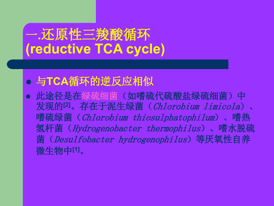 CO2的固定.ppt_第2页