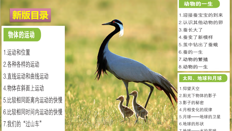 教科版科学三年级下册《全册全套》课件.ppt_第2页