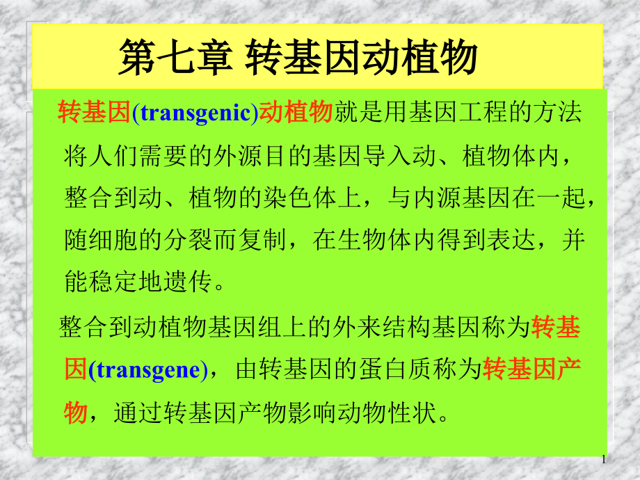 转基因动植物.ppt_第1页