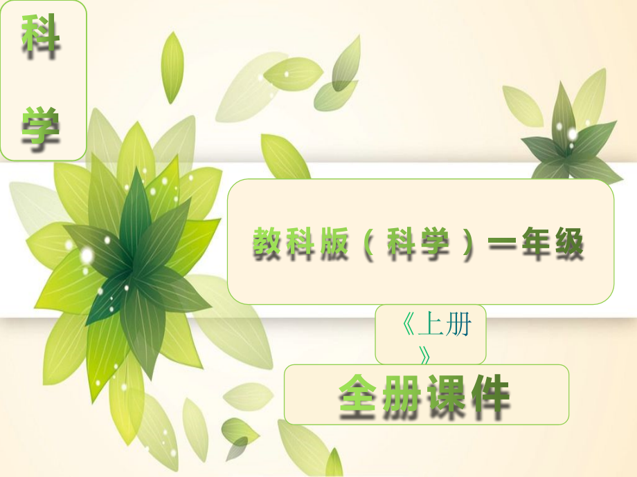 新教科版科学一年级上册全册课件.ppt_第1页