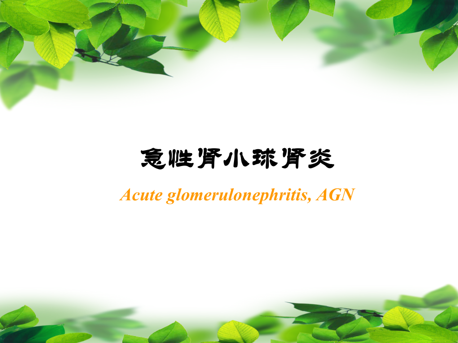 急性肾小球肾炎小讲课.ppt_第2页