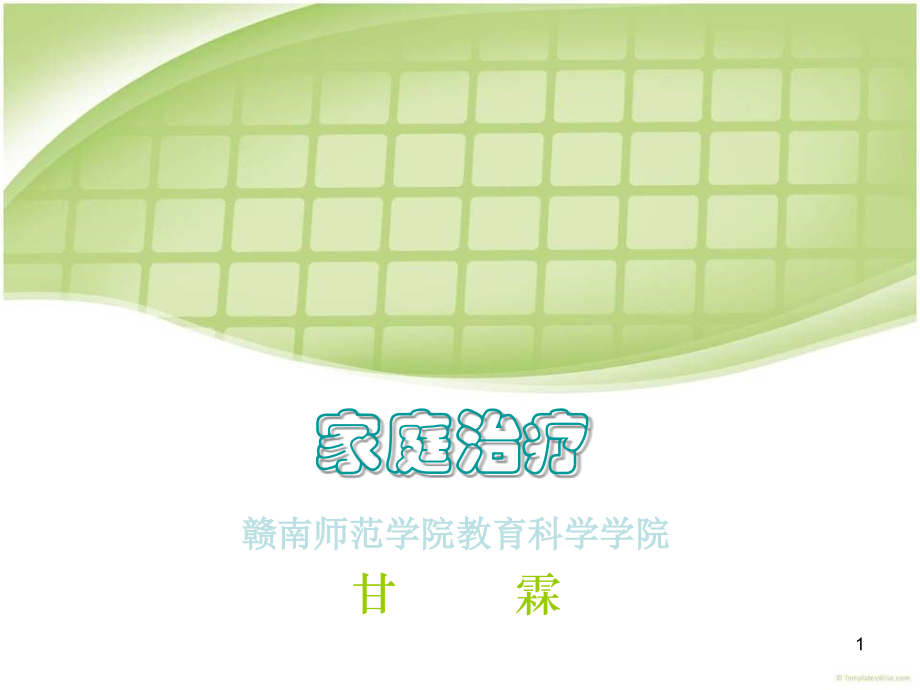 家庭治疗课件.ppt_第1页