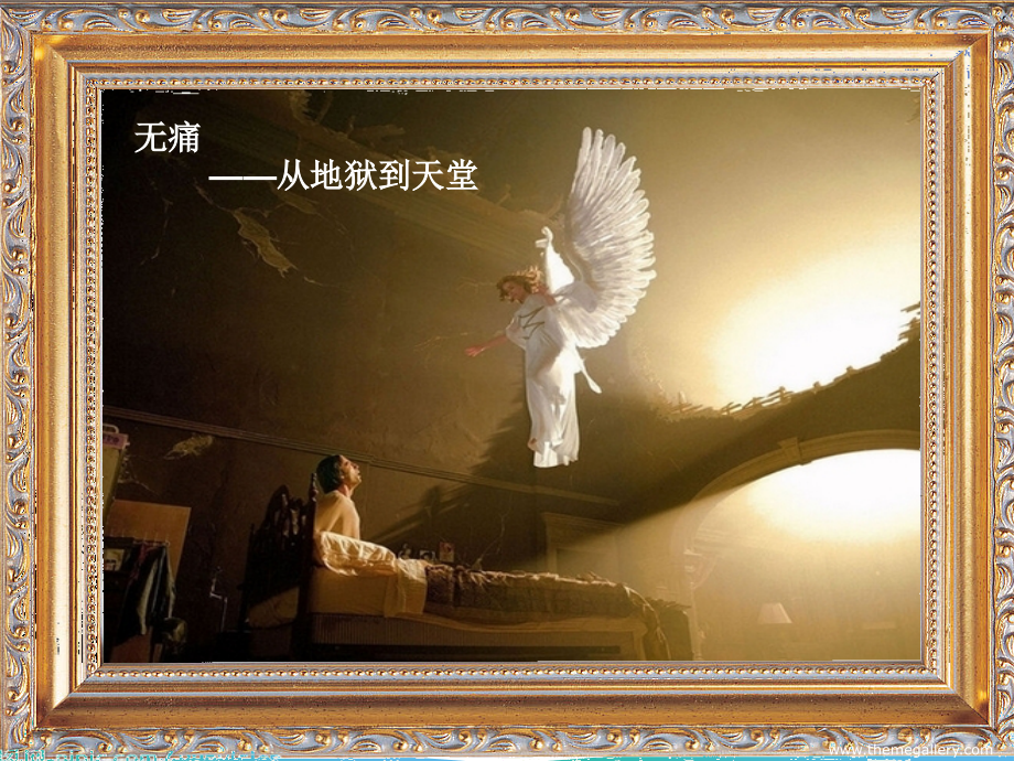 消化内镜麻醉课件.pptx_第2页