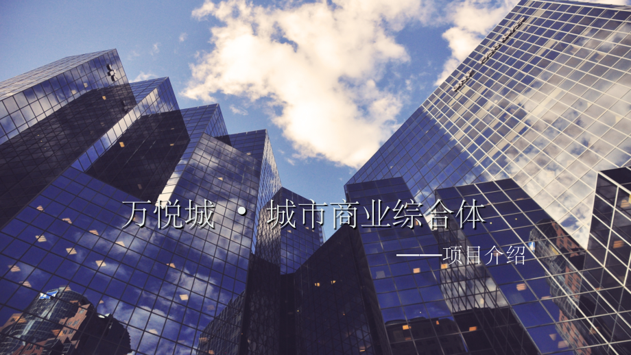 项目介绍课件.ppt_第1页