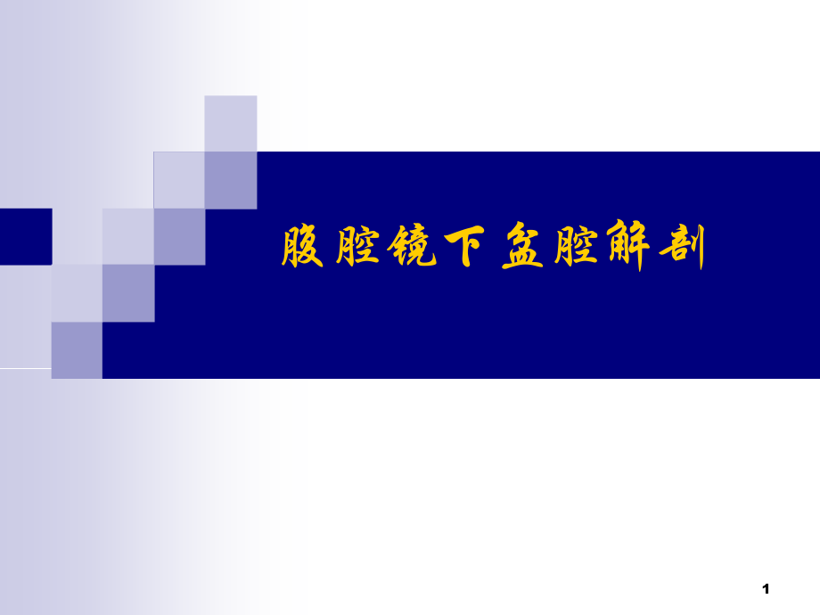 腹腔镜下盆腔解剖PPT课件.ppt_第1页