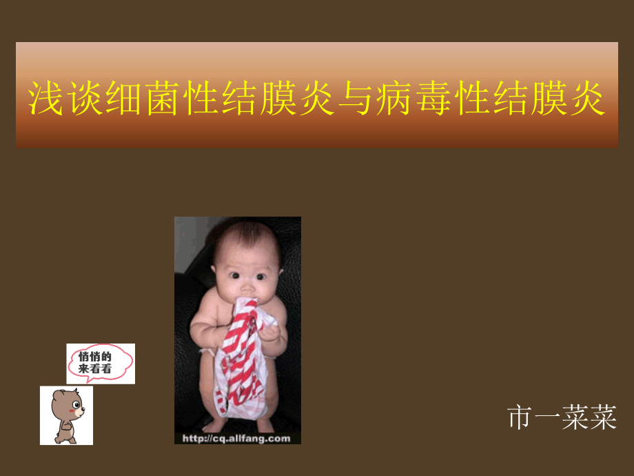 细菌性结膜炎病毒性结膜炎的临床表现与治疗.ppt_第1页