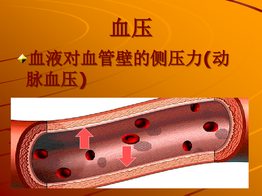 高血压健康指导PPT课件.ppt_第2页