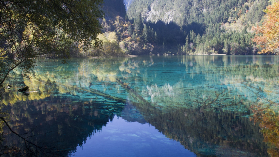 《我们奇妙的世界》课件.pptx_第1页