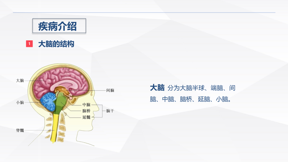 脑出血术后的护理课件.pptx_第2页