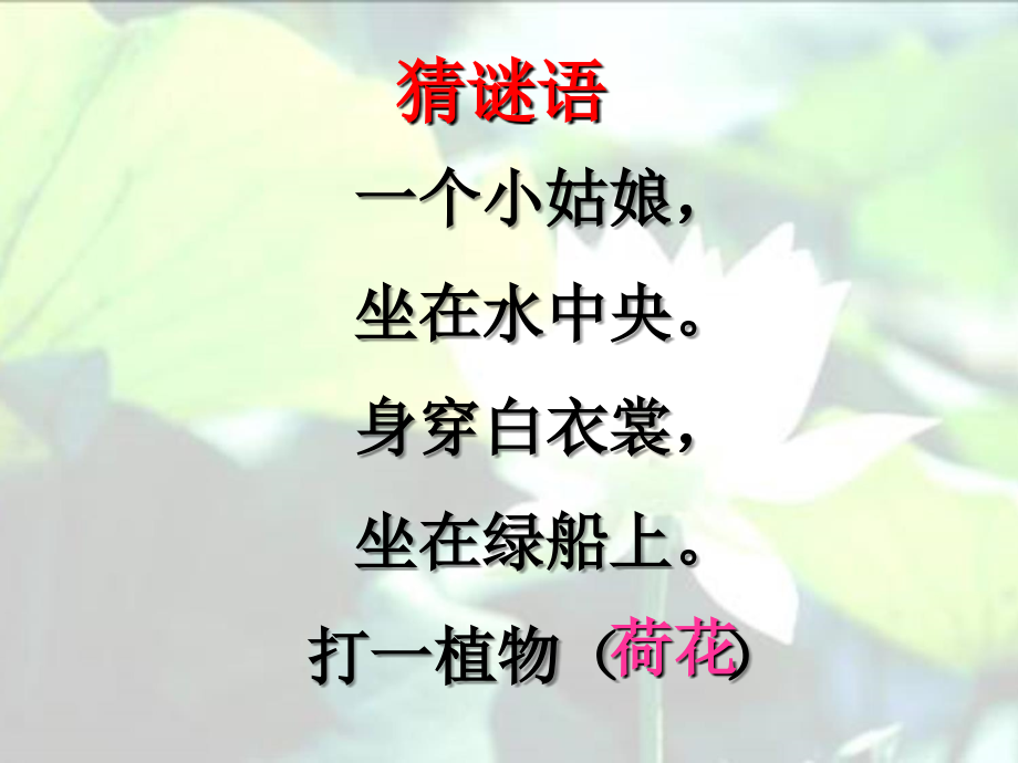【语文】部编人教版小学语文3三年级下册03荷花优质课件.ppt_第1页