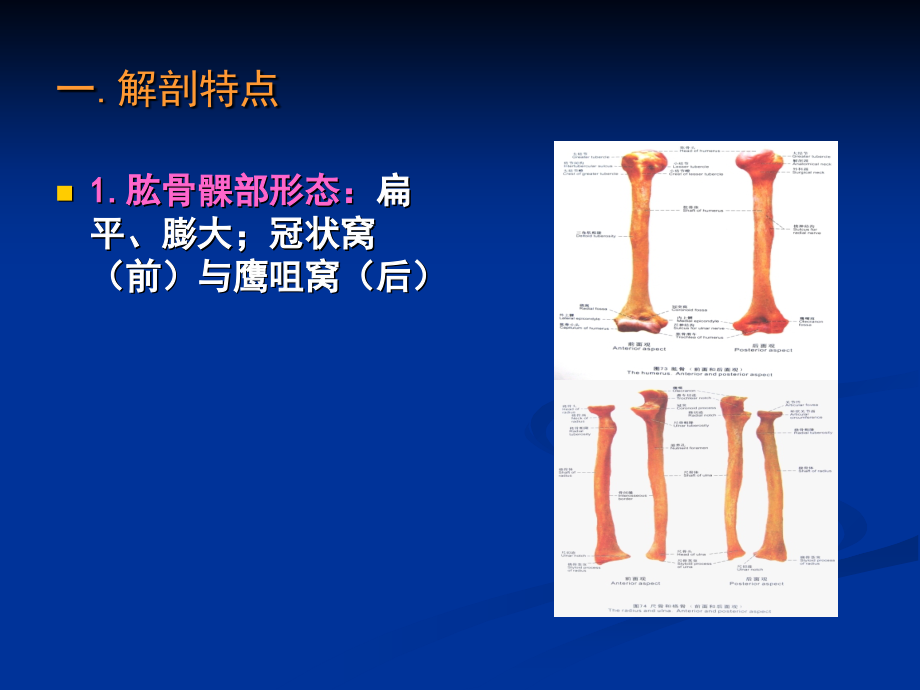 小儿肱骨髁上骨折优质课件.ppt_第2页