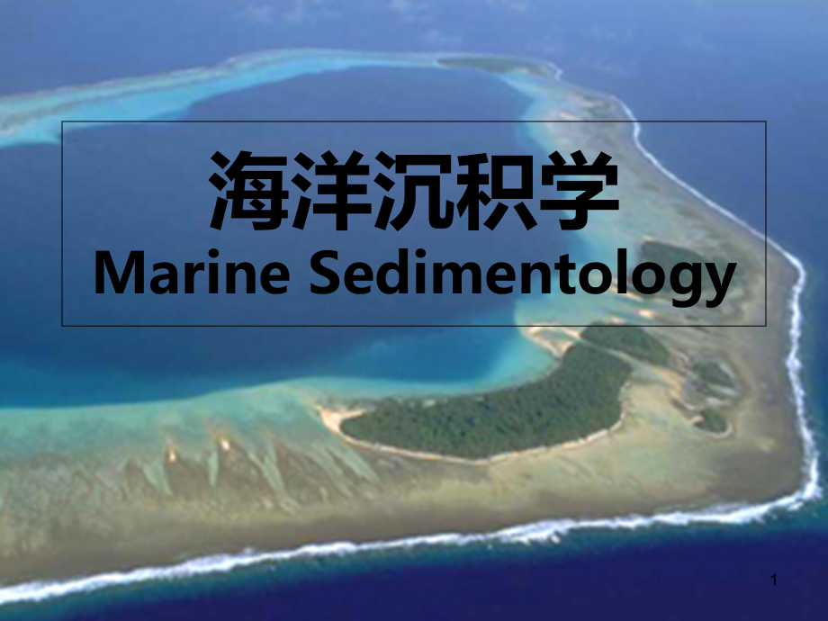 河口湾与三角洲沉积.ppt_第1页