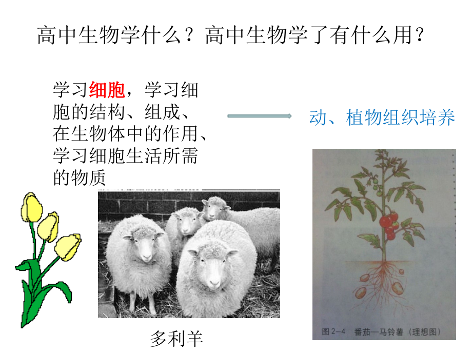 人教版高中生物必修一第一章课件课件.ppt_第2页