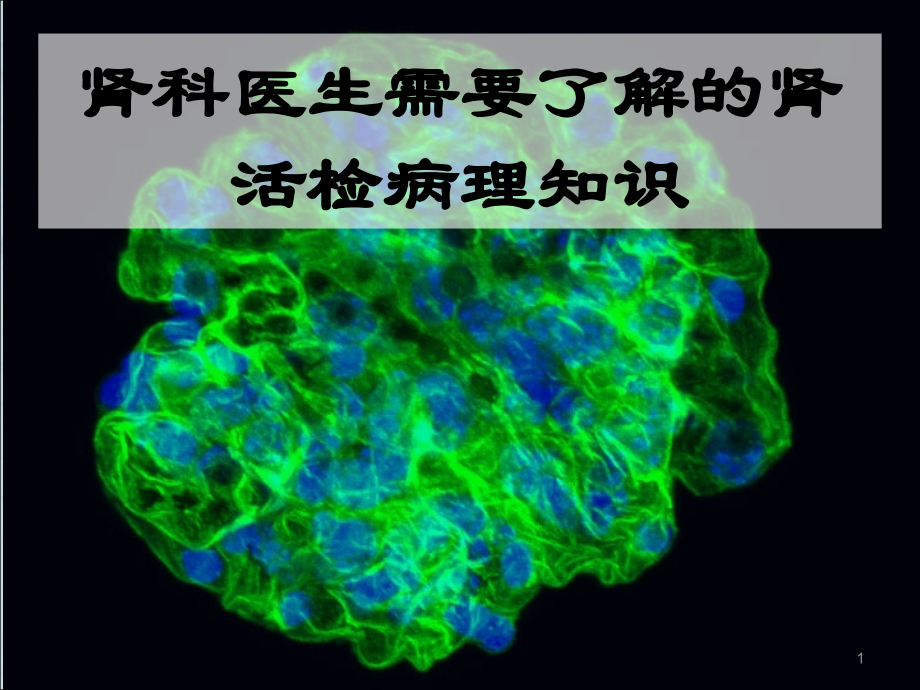 肾科医师需要了解的肾脏病理知识.ppt_第1页