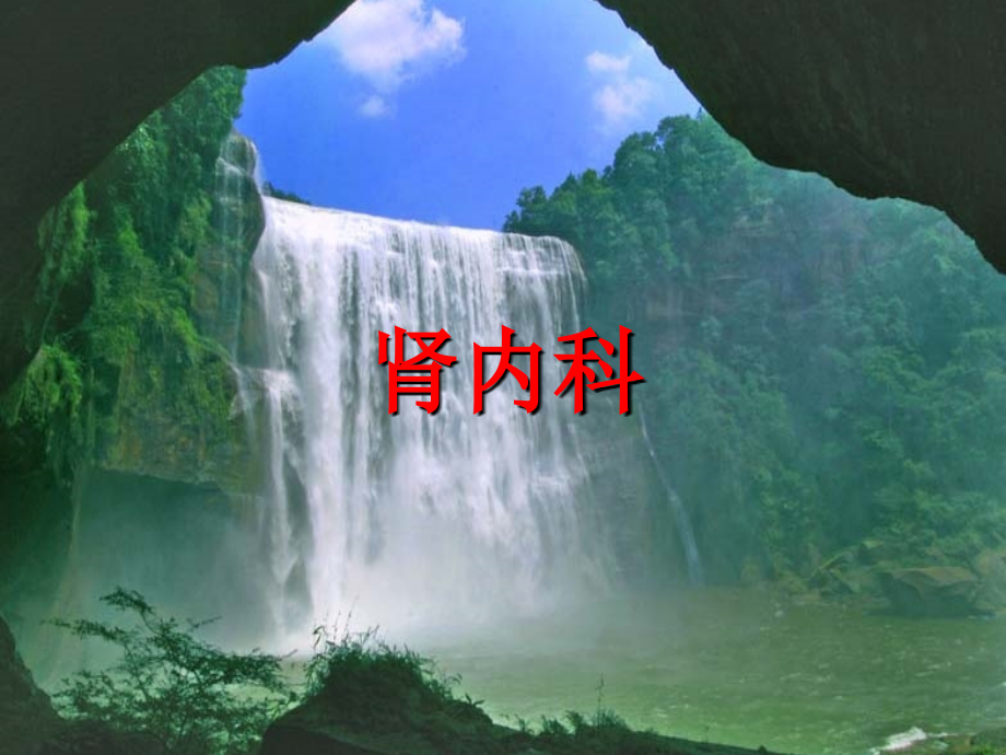肾脏病诊断思路.ppt_第2页