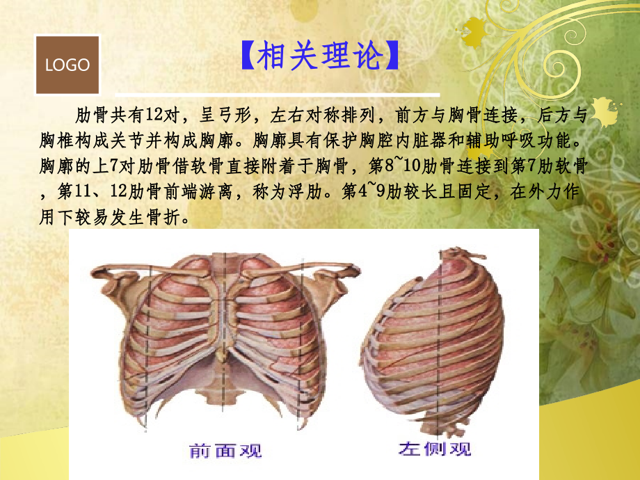 肋骨骨折病人的护理课件.ppt_第1页