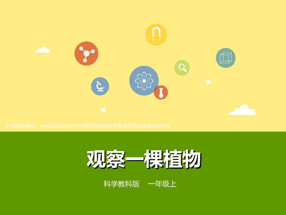 教科版小学科学一年级上册：2《观察一棵植物》(课件).ppt_第1页