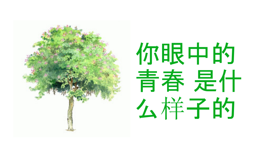 致梦想致青春主题班会.ppt_第2页
