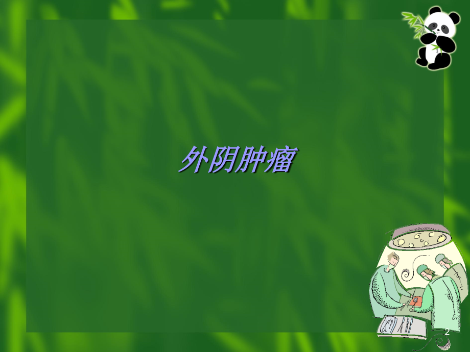 外阴阴道肿瘤课件.ppt_第2页