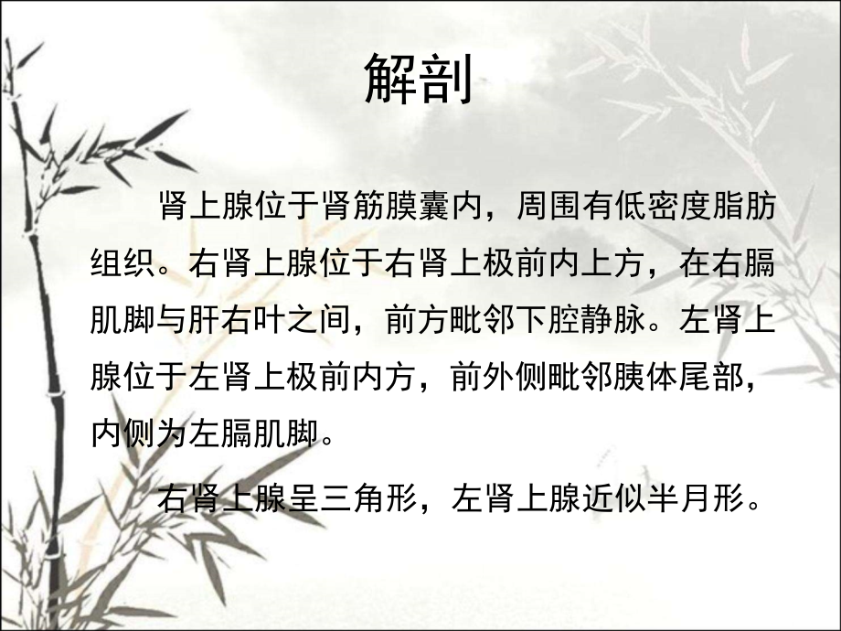 肾上腺肿瘤及瘤样病变的影像诊断.ppt_第2页