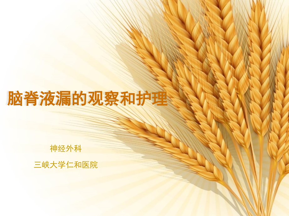 脑脊液漏的护理课件.pptx_第1页