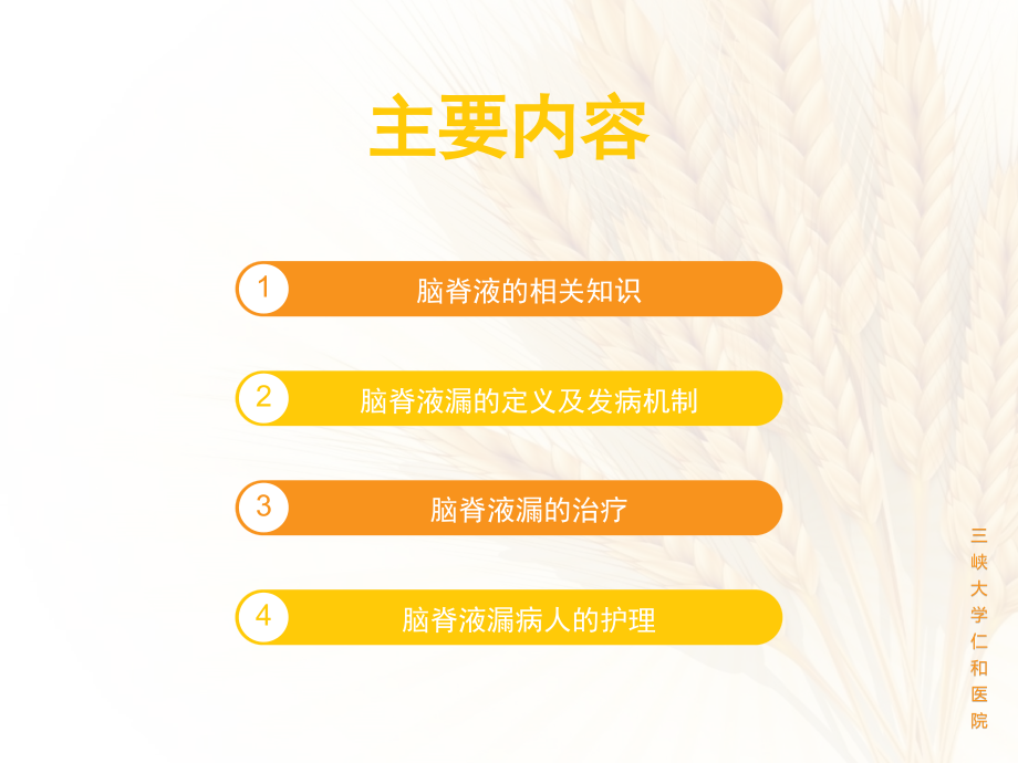 脑脊液漏的护理课件.pptx_第2页