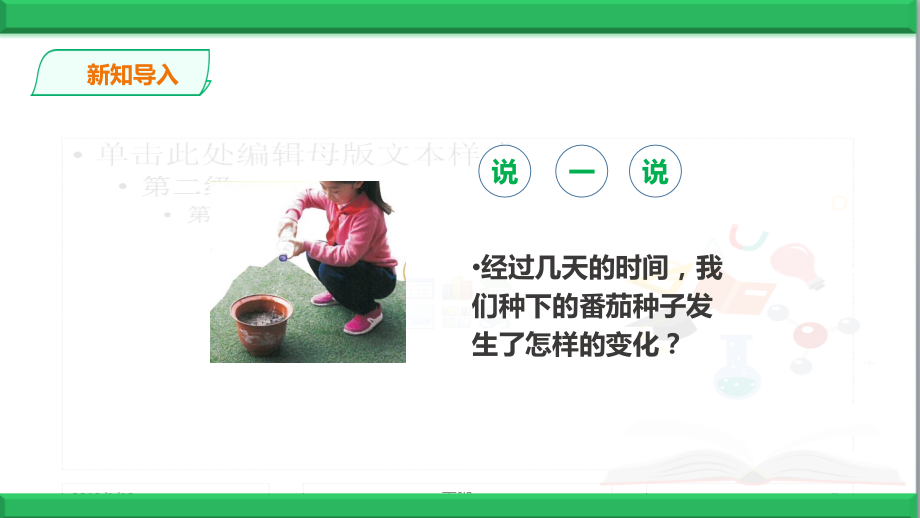2020新苏教版三年级下册《科学》1.2《幼苗长大了》课件.ppt_第2页