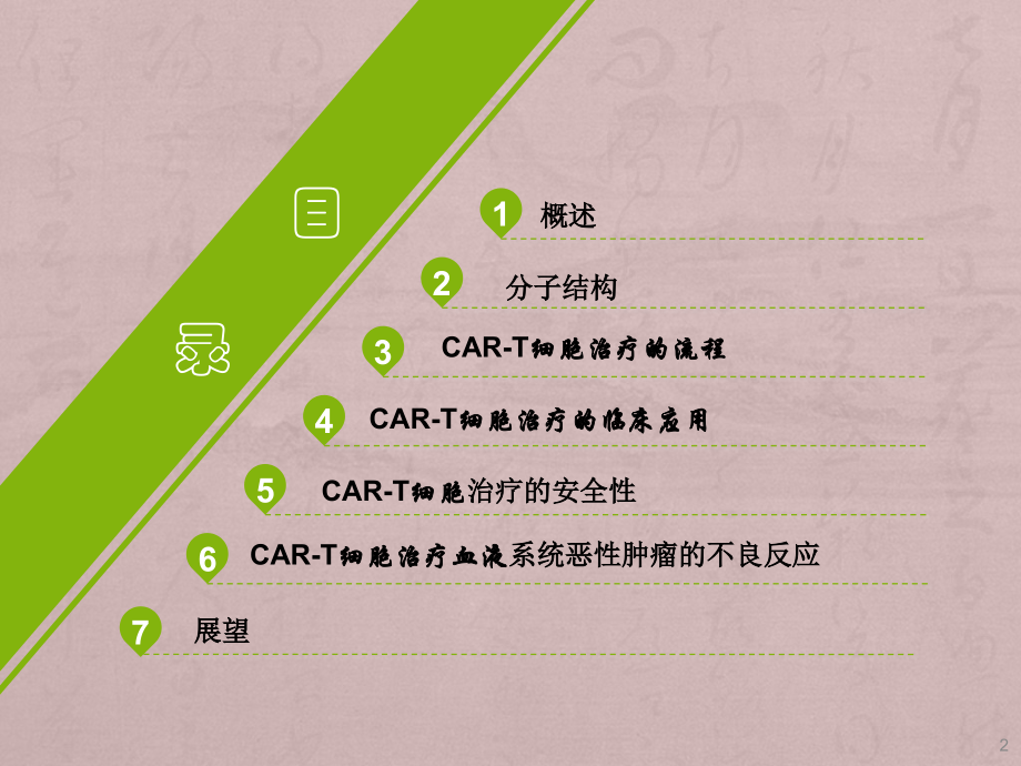 CAR-T细胞治疗课件.pptx_第2页