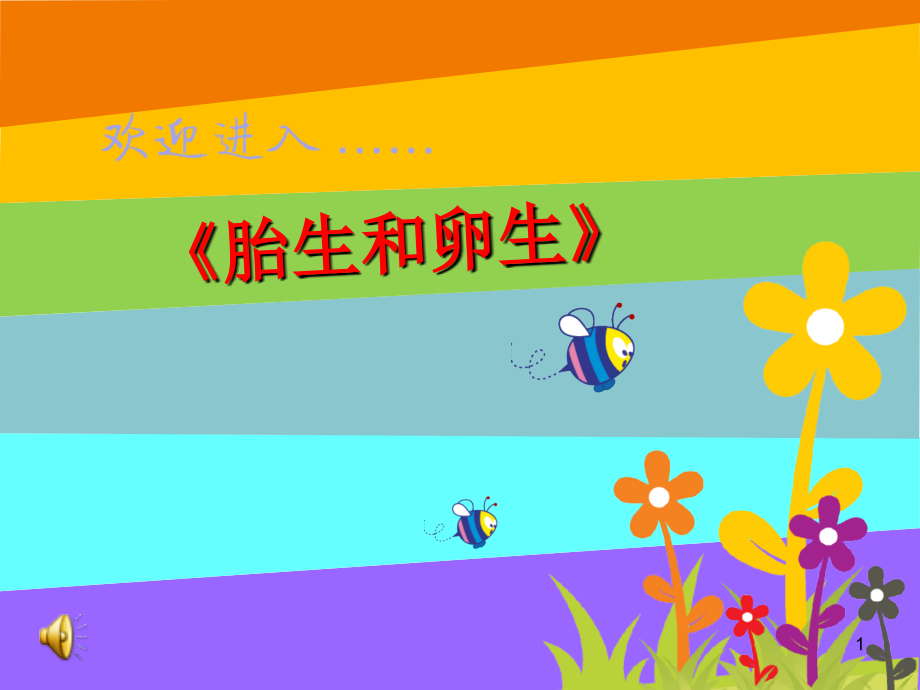 大班科学胎生和卵生课件.ppt_第1页