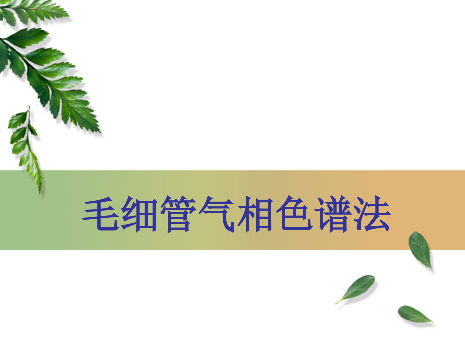 毛细管气相色谱.ppt_第1页
