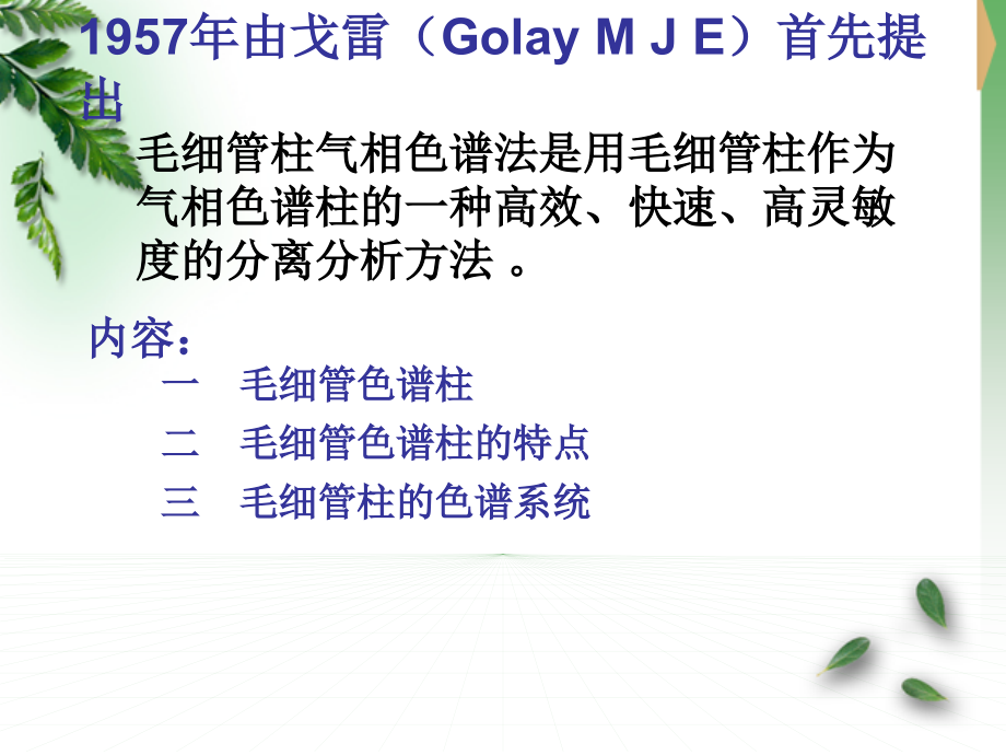 毛细管气相色谱.ppt_第2页