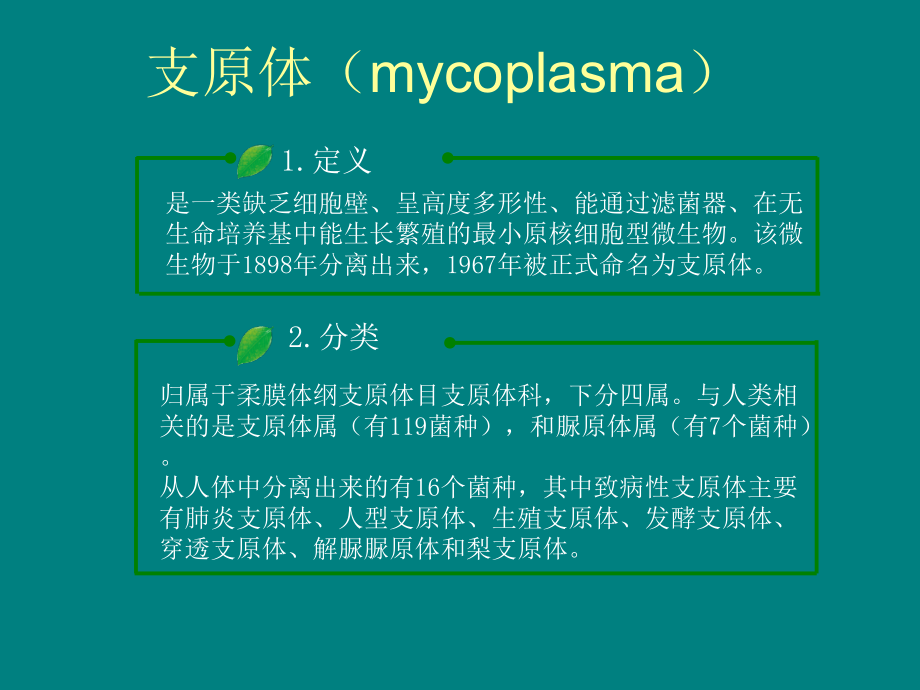 支原体及衣原体课件.ppt_第2页